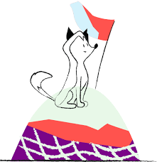 COMO RECEBER O PAGAMENTO DO GOOGLE ADSENSE PELA HUSKY