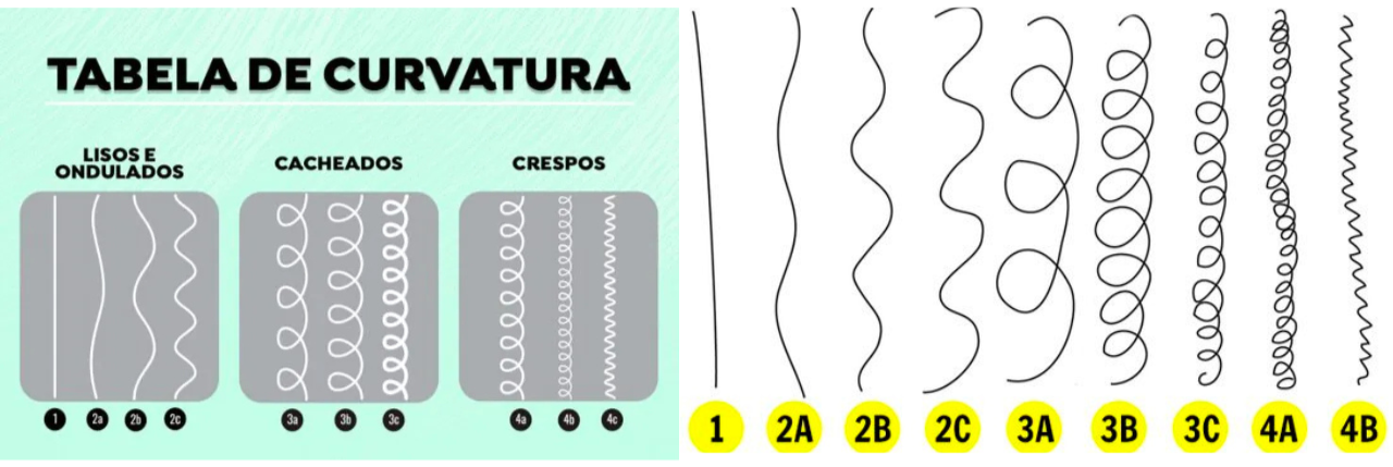 GUIA DE COMPRA: ESCOVA SECADORA